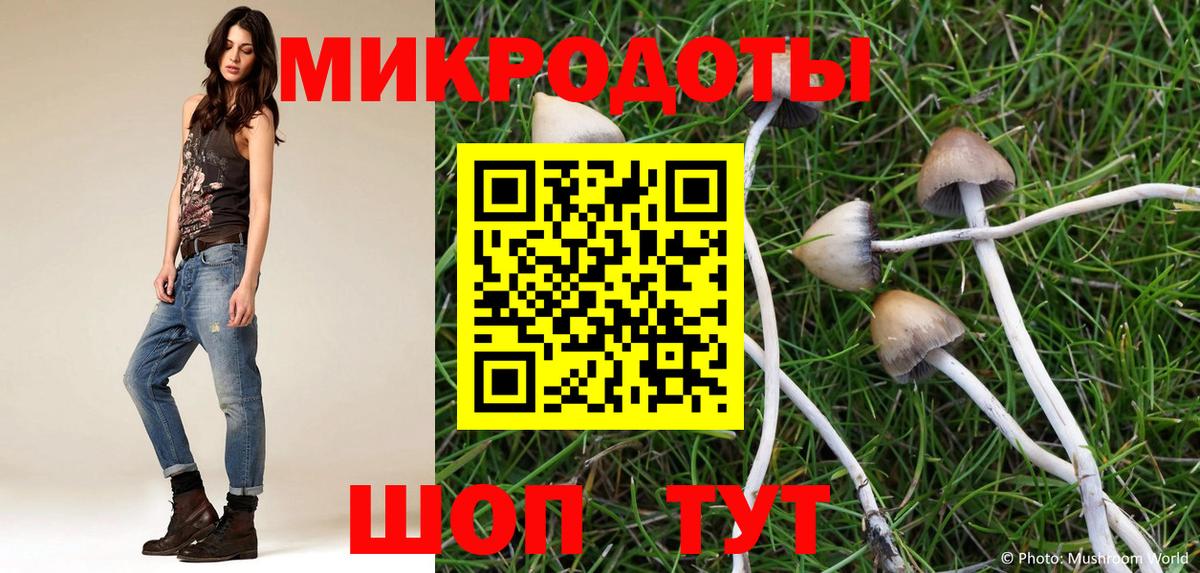 Галлюциногенные грибы MAGIC MUSHROOMS  Вход с VPN  Кудымкар  Галлюциногенные грибы мицелий 